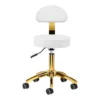 tabouret esthétique professionnel - siège esthéticienne ergonomique - tabouret de soin hydraulique - mobilier salon de beauté - tabouret professionnel pivotant - siège de massage à roulettes - tabouret manucure pédicure - équipement institut esthétique - tabouret assise matelassée - mobilier esthétique haut de gamme - tabouret de coiffure professionnel - tabouret esthétique à roulettes - tabouret selle de cheval - siège assis debout professionnel - mobilier de coiffure et esthétique - tabouret ergonomique avec dossier - réglage hauteur vérin à gaz - mousse haute densité résiliente - piétement chrome étoile - roulettes anti-cheveux - tabouret de coupe coiffeur - tabouret pour tatoueur - siège de massage et soin - tabouret manucure et pédicure - revêtement simili-cuir lavable
