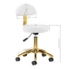 tabouret esthétique professionnel - siège esthéticienne ergonomique - tabouret de soin hydraulique - mobilier salon de beauté - tabouret professionnel pivotant - siège de massage à roulettes - tabouret manucure pédicure - équipement institut esthétique - tabouret assise matelassée - mobilier esthétique haut de gamme - tabouret de coiffure professionnel - tabouret esthétique à roulettes - tabouret selle de cheval - siège assis debout professionnel - mobilier de coiffure et esthétique - tabouret ergonomique avec dossier - réglage hauteur vérin à gaz - mousse haute densité résiliente - piétement chrome étoile - roulettes anti-cheveux - tabouret de coupe coiffeur - tabouret pour tatoueur - siège de massage et soin - tabouret manucure et pédicure - revêtement simili-cuir lavable
