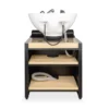 bac à shampoing - bac coiffure ergonomique - meuble lavage salon - vasque céramique basculante - bac shampoing compact - fauteuil lavage professionnel - structure polypropylène résistante - siège réglable salon - bac lavage noir premium - équipement coiffure durable - bac shampoing confortable - mobilier salon coiffure - bac lavage haute qualité - vasque profonde ergonomique - bac shampoing design moderne