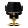 fauteuil de coiffure professionnel – chaise de coiffure luxe – mobilier salon de coiffure – fauteuil coiffure noir or – chaise hydraulique salon – équipement salon de coiffure – fauteuil coiffure ergonomique – chaise de coiffure design – fauteuil coiffure haut de gamme – mobilier coiffure moderne