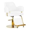 fauteuil de coiffure professionnel – chaise de coiffure luxe – mobilier salon de coiffure – fauteuil coiffure noir or – chaise hydraulique salon – équipement salon de coiffure – fauteuil coiffure ergonomique – chaise de coiffure design – fauteuil coiffure haut de gamme – mobilier coiffure moderne