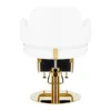 fauteuil de coiffure professionnel – chaise de coiffure luxe – mobilier salon de coiffure – fauteuil coiffure noir or – chaise hydraulique salon – équipement salon de coiffure – fauteuil coiffure ergonomique – chaise de coiffure design – fauteuil coiffure haut de gamme – mobilier coiffure moderne