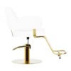 fauteuil de coiffure professionnel – chaise de coiffure luxe – mobilier salon de coiffure – fauteuil coiffure noir or – chaise hydraulique salon – équipement salon de coiffure – fauteuil coiffure ergonomique – chaise de coiffure design – fauteuil coiffure haut de gamme – mobilier coiffure moderne