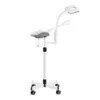 D-21Blanc (10) Professional Vapozone - Facial Steam Device - Aesthetic Vaporizer - Aesthetic Ozone Steam - Vapozone with Magnifying Lamp - Facial Treatment Equipment - Multifunction Vapozone - Beauty Salon Steam Machine - Professional LED Vapozone - Skin Cleansing Device