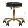tabouret esthétique professionnel - siège esthéticienne ergonomique - tabouret de soin hydraulique - mobilier salon de beauté - tabouret professionnel pivotant - siège de massage à roulettes - tabouret manucure pédicure - équipement institut esthétique - tabouret assise matelassée - mobilier esthétique haut de gamme - tabouret de coiffure professionnel - tabouret esthétique à roulettes - tabouret selle de cheval - siège assis debout professionnel - mobilier de coiffure et esthétique - tabouret ergonomique avec dossier - réglage hauteur vérin à gaz - mousse haute densité résiliente - piétement chrome étoile - roulettes anti-cheveux - tabouret de coupe coiffeur - tabouret pour tatoueur - siège de massage et soin - tabouret manucure et pédicure - revêtement simili-cuir lavable