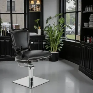 Fauteuil de coiffure prince - chaise de coiffure prince - fauteuil de coiffure professionnel - mobilier pour salon de coiffure - meuble pour salon de coiffure