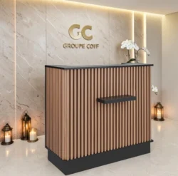 Professional reception desk - Salon reception furniture - Hair salon checkout counter - High-end hair salon furniture - Modern salon reception desk - Designer reception furniture - Custom reception desk - Professional beauty furniture - LED light-up checkout counter - Custom reception furniture