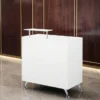 meuble accueil salon coiffure - comptoir réception professionnel - meuble réception blanc - comptoir accueil esthétique - mobilier accueil coiffure - meuble réception gabbiano - comptoir salon beauté - meuble accueil moderne - comptoir blanc capitonné - meuble réception pratique - meuble accueil avec tiroir - comptoir accueil design - meuble réception compact - mobilier professionnel salon - comptoir accueil fonctionnel