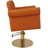 fauteuil de coiffure - mobilier de coiffure professionnel - chaise de coiffure - siège de coiffure - fauteuil de coiffure pour femme - meubles pour salon de coiffure - fauteuil de coiffure hydraulique - fauteuil coiffeur base carrée - fauteuil de coiffure éco-cuir - siège de coiffure design gris