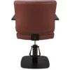 fauteuil de coiffure - mobilier de coiffure professionnel - chaise de coiffure - siège de coiffure - fauteuil de coiffure pour femme - meubles pour salon de coiffure - fauteuil de coiffure hydraulique - fauteuil coiffeur base carrée - fauteuil de coiffure éco-cuir - siège de coiffure design gris
