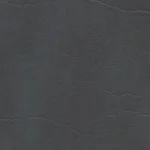 F anthracite