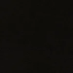 F panther black