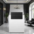 DYLAN 22/50 Reception Desk - Dylan Cashier Counter - DYLAN 22/50 Reception Furniture - Hair Salon Reception Furniture - Professional Hair Salon Furniture - Hair Salon Reception Desk - White Counter