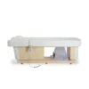 table head spa - lit head spa professionnel - table hair spa - mobilier head spa - table de massage avec vasque - matelas chauffant - cloche vapeur - micro‑brume ultrasonique - nano‑anionique - appareil hair spa - vapozone capillaire
