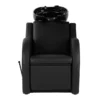 bac à shampoing - bac coiffure ergonomique - meuble lavage salon - vasque céramique basculante - bac shampoing compact - fauteuil lavage professionnel - structure polypropylène résistante - siège réglable salon - bac lavage noir premium - équipement coiffure durable - bac shampoing confortable - mobilier salon coiffure - bac lavage haute qualité - vasque profonde ergonomique - bac shampoing design moderne