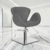 Fauteuil de coiffure - mobilier de coiffure professionnel - fauteuil de coiffure pour femme - chaise de coiffure - siège de coiffure - meubles pour salon de coiffure - fauteuil coiffure haut de gamme - mobilier pour salon de coiffure - fauteuil de coupe coiffure - chaise pour salon de coiffure
