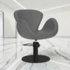 Fauteuil de coiffure - mobilier de coiffure professionnel - fauteuil de coiffure pour femme - chaise de coiffure - siège de coiffure - meubles pour salon de coiffure - fauteuil coiffure haut de gamme - mobilier pour salon de coiffure - fauteuil de coupe coiffure - chaise pour salon de coiffure