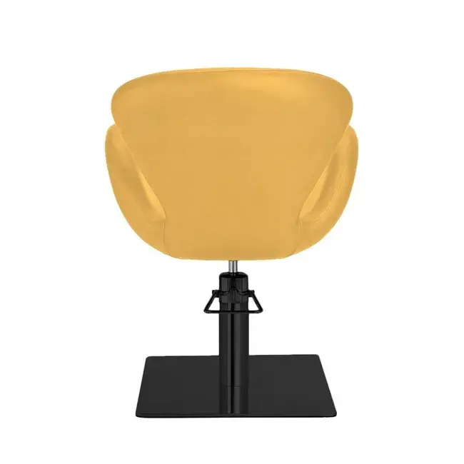 Fauteuil de coiffure - mobilier de coiffure professionnel - fauteuil de coiffure pour femme - chaise de coiffure - siège de coiffure - meubles pour salon de coiffure - fauteuil coiffure haut de gamme - mobilier pour salon de coiffure - fauteuil de coupe coiffure - chaise pour salon de coiffure