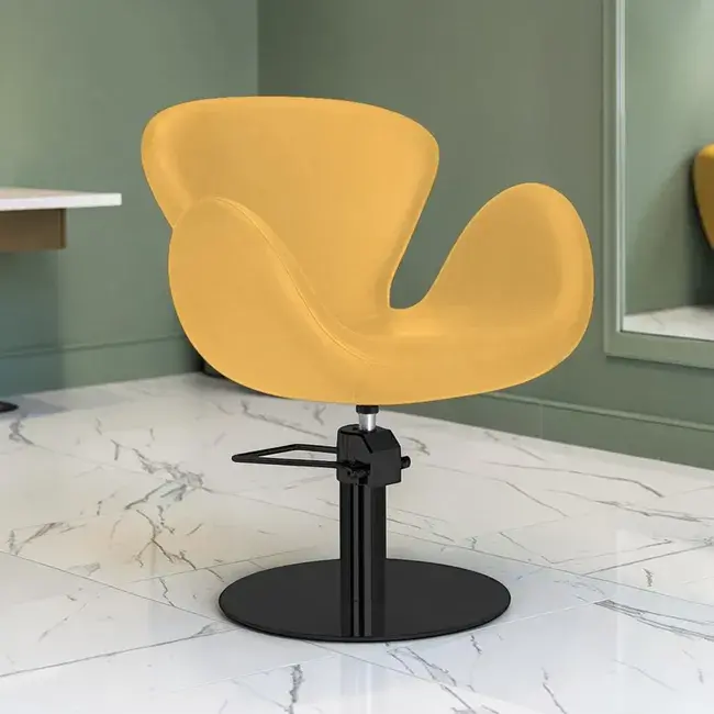 Fauteuil de coiffure - mobilier de coiffure professionnel - fauteuil de coiffure pour femme - chaise de coiffure - siège de coiffure - meubles pour salon de coiffure - fauteuil coiffure haut de gamme - mobilier pour salon de coiffure - fauteuil de coupe coiffure - chaise pour salon de coiffure