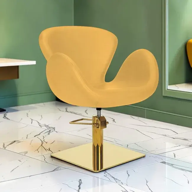 Fauteuil de coiffure - mobilier de coiffure professionnel - fauteuil de coiffure pour femme - chaise de coiffure - siège de coiffure - meubles pour salon de coiffure - fauteuil coiffure haut de gamme - mobilier pour salon de coiffure - fauteuil de coupe coiffure - chaise pour salon de coiffure