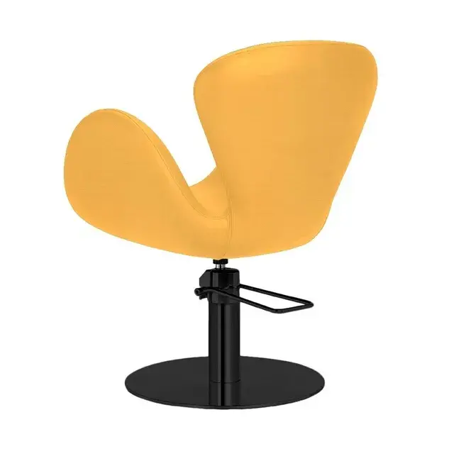 Fauteuil de coiffure - mobilier de coiffure professionnel - fauteuil de coiffure pour femme - chaise de coiffure - siège de coiffure - meubles pour salon de coiffure - fauteuil coiffure haut de gamme - mobilier pour salon de coiffure - fauteuil de coupe coiffure - chaise pour salon de coiffure