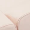 Basic 202 Aesthetic Chair Rose (15) esthetic chair - podiatry chair - pedicure chair - aesthetic salon furniture - black hydraulic chair - podiatry clinic equipment - treatment chair - tattoo chair - beauty salon furniture - adjustable professional chair - reclining chair - spa and wellness equipment