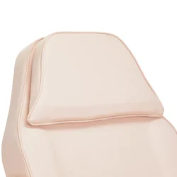 BASIC 202 Aesthetic Chair Rose (9) esthetic chair - podiatry chair - pedicure chair - aesthetic salon furniture - black hydraulic chair - podiatry clinic equipment - treatment chair - tattoo chair - beauty salon furniture - adjustable professional chair - reclining chair - spa and wellness equipment