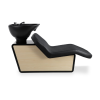 Bac à Shampoing Dax (16) Dax shampoo basin – professional hair dryer – adjustable ceramic sink – ergonomic shampoo chair – high-end hair styling basin – salon washing station – sturdy shampoo basin – high-density foam shampoo chair – glass fiber shampoo basin – black ceramic sink – premium hair styling furniture – comfortable shampoo basin – modern design shampoo basin – durable shampoo basin – hair salon equipment