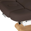 Relax Brun foncé Bois Clair (10) table de soin Sillon Relax – table SPA électrique – table de massage bois clair – lit de soin ergonomique – table esthétique professionnelle – table de spa réglable – matelas segmenté SPA – table de soin électrique – mobilier bien‑être haut de gamme – table de massage stable – table esthétique premium – lit de soin inclinable – table de spa moderne – équipement salon esthétique – table de massage confortable