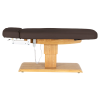 Relax Brun foncé Bois Clair (7) table de soin Sillon Relax – table SPA électrique – table de massage bois clair – lit de soin ergonomique – table esthétique professionnelle – table de spa réglable – matelas segmenté SPA – table de soin électrique – mobilier bien‑être haut de gamme – table de massage stable – table esthétique premium – lit de soin inclinable – table de spa moderne – équipement salon esthétique – table de massage confortable