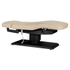 Sillon Relax Beige Bois Noir (4) Sillon Relax care table – electric SPA table – light wood massage table – ergonomic care bed – professional aesthetic table – adjustable spa table – segmented SPA mattress – electric spa table – high-end wellness furniture – stable spa table – premium aesthetic table – tiltable care bed – modern spa table – aesthetic salon equipment – comfortable massage table