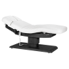 Sillon Relax Blanc Bois Noir (2) Sillon Relax care table – electric SPA table – light wood massage table – ergonomic care bed – professional aesthetic table – adjustable spa table – segmented SPA mattress – electric spa table – high-end wellness furniture – stable spa table – premium aesthetic table – tiltable care bed – modern spa table – aesthetic salon equipment – comfortable massage table