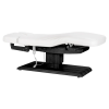 Sillon Relax Blanc Bois Noir (4) Sillon Relax care table – electric SPA table – light wood massage table – ergonomic care bed – professional aesthetic table – adjustable spa table – segmented SPA mattress – electric spa table – high-end wellness furniture – stable spa table – premium aesthetic table – tiltable care bed – modern spa table – aesthetic salon equipment – comfortable massage table