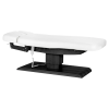 Sillon Relax Blanc Bois Noir (5) Sillon Relax care table – electric SPA table – light wood massage table – ergonomic care bed – professional aesthetic table – adjustable spa table – segmented SPA mattress – electric spa table – high-end wellness furniture – stable spa table – premium aesthetic table – tiltable care bed – modern spa table – aesthetic salon equipment – comfortable massage table