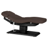 Sillon Relax Brun foncé Bois Noir (2) Sillon Relax care table – electric SPA table – light wood massage table – ergonomic care bed – professional aesthetic table – adjustable spa table – segmented SPA mattress – electric spa table – high-end wellness furniture – stable spa table – premium aesthetic table – tiltable care bed – modern spa table – aesthetic salon equipment – comfortable massage table