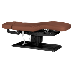 Sillon Relax Marron Bois Noir (4) Sillon Relax care table – electric SPA table – light wood massage table – ergonomic care bed – professional aesthetic table – adjustable spa table – segmented SPA mattress – electric spa table – high-end wellness furniture – stable spa table – premium aesthetic table – tiltable care bed – modern spa table – aesthetic salon equipment – comfortable massage table