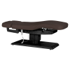 Sillon Relax Brun foncé Bois Noir (4) Sillon Relax care table – electric SPA table – light wood massage table – ergonomic care bed – professional aesthetic table – adjustable spa table – segmented SPA mattress – electric spa table – high-end wellness furniture – stable spa table – premium aesthetic table – tiltable care bed – modern spa table – aesthetic salon equipment – comfortable massage table